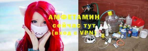 стаф Володарск