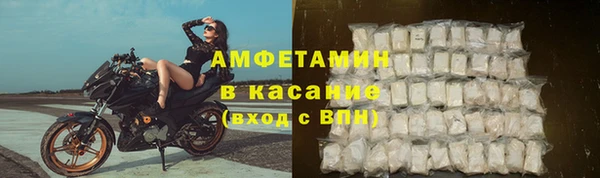 индика Вязьма
