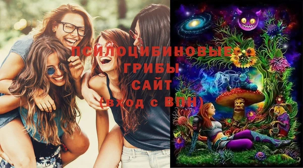 хмурый Вяземский