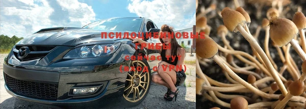 соль курить ск Волосово