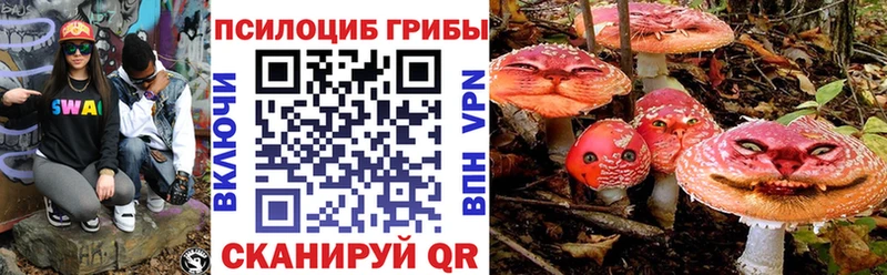Псилоцибиновые грибы мицелий  Кингисепп 